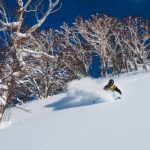 istockphoto-1186879499-612x612